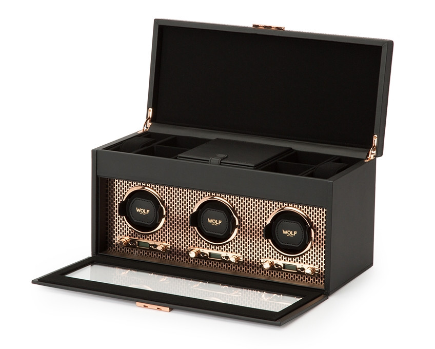 4 Important Facts about Triple Watch Winder